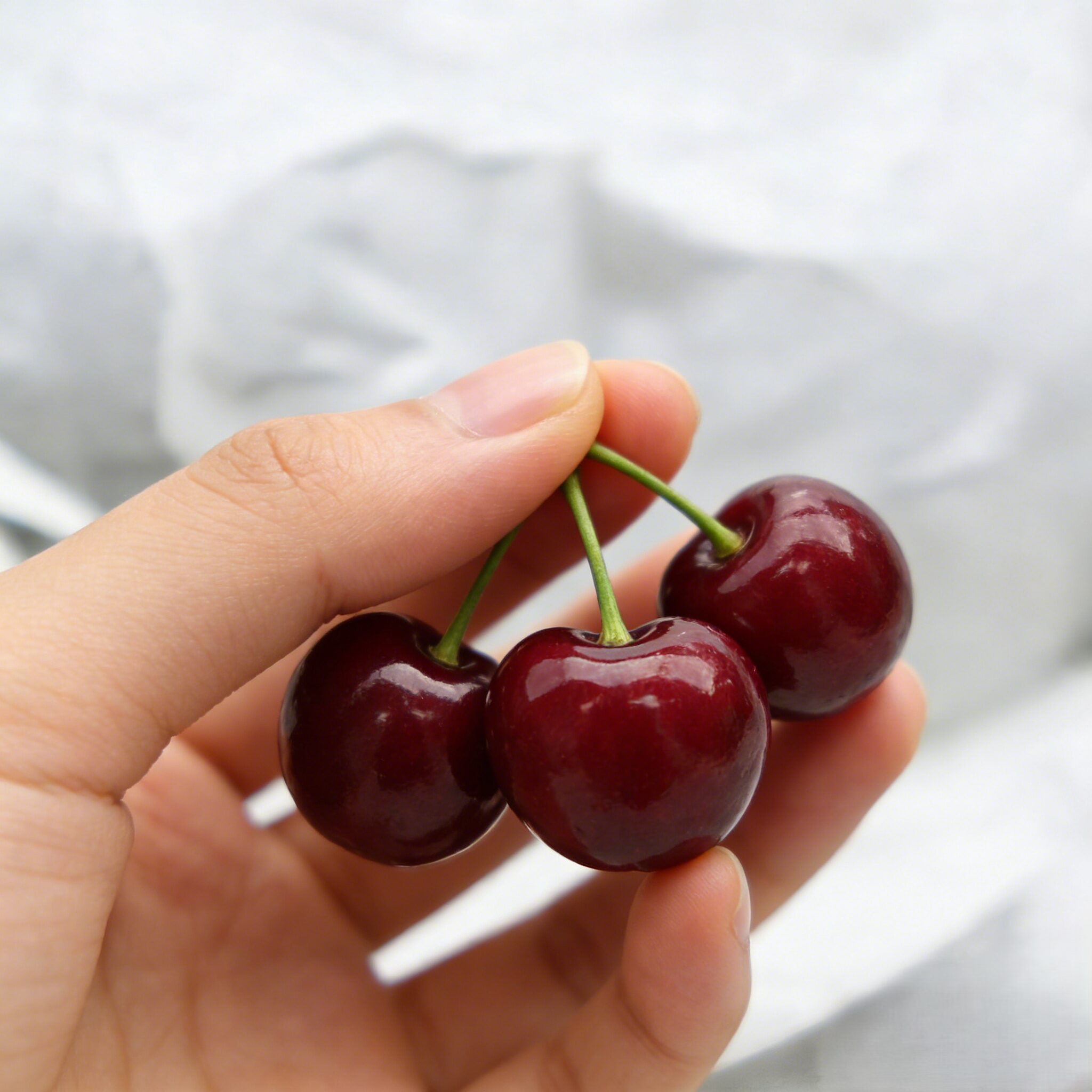 hanyuan sweet cherry hanyuan sweet cherry