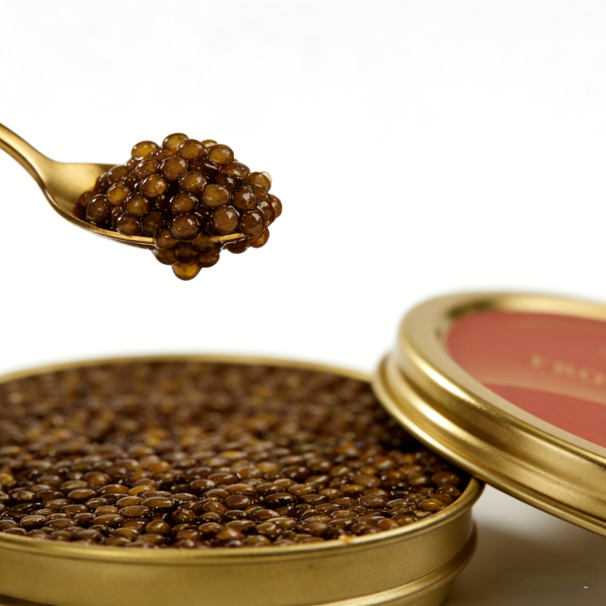 frosista russian sturgeon caviar frosista russian sturgeon caviar